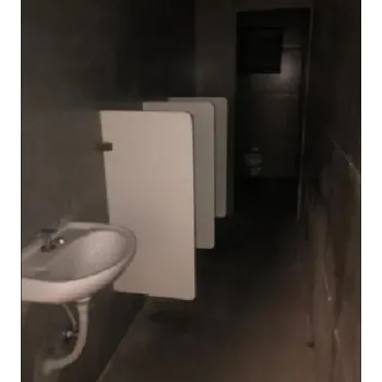 Polished Urinal Partition