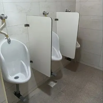 Solid Urinal Partition