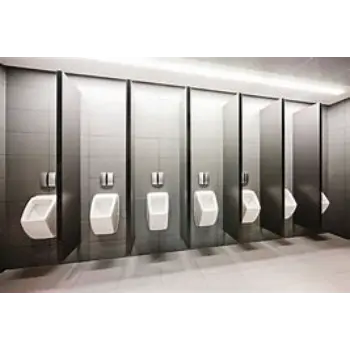 Solid Urinal Partition