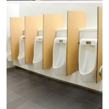 Solid Urinal Partition