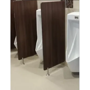 Polished Urinal Partition
