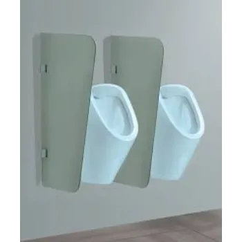 Polished Urinal Partition