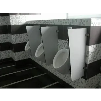 Polished Urinal Partition