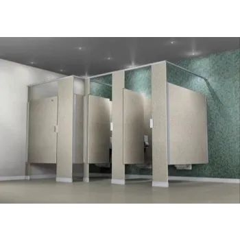 Polished Urinal Partition