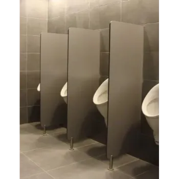 Polished Urinal Partition