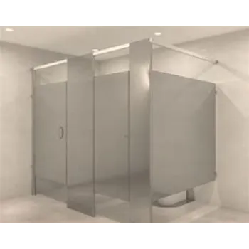 Polished Urinal Partition