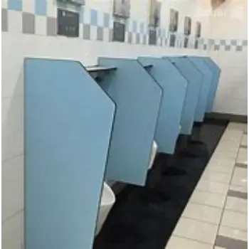 Polished Urinal Partition