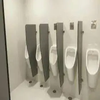 Urinal Partition