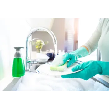 Goyal Utensil Cleaner