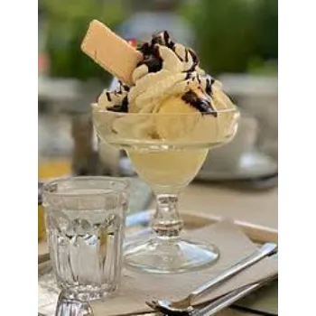 Classic Vanilla Ice Cream