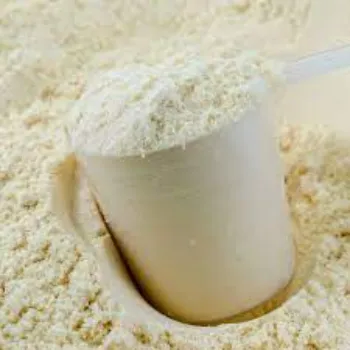 Vanilla Protein Powder