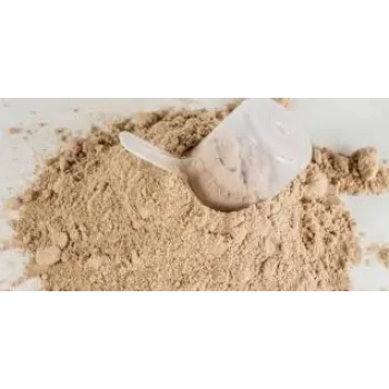 Vanilla Protein Powder
