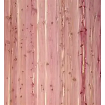 Polished Veneer Panel