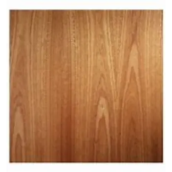 Plain Veneer Panel