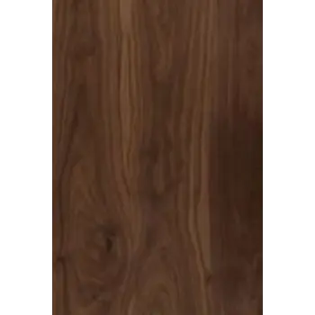 Polished Veneer Panel