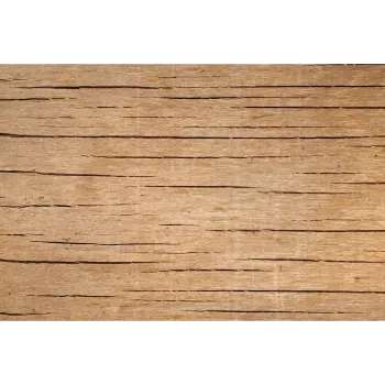 Latest Veneer Sheet