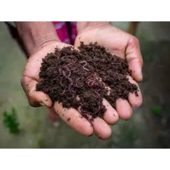 Organic Vermicompost Fertilizer