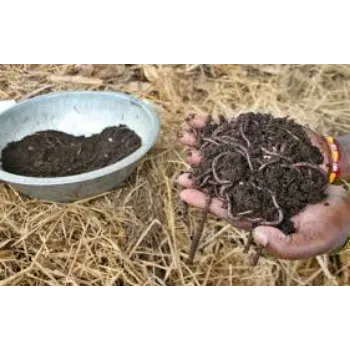 Natural Vermicompost
