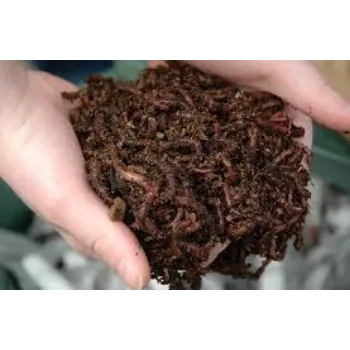 Organic Vermicompost