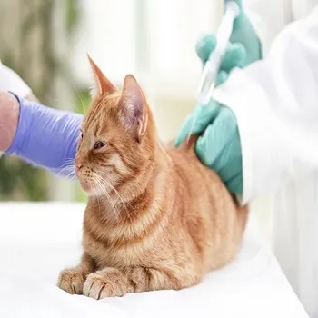 Veterinary Vaccine