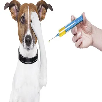 Veterinary Vaccine