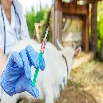 Veterinary Vaccine