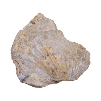 White Lime Stone