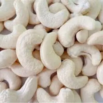 Natural W180 Cashew Nuts