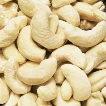 Natural W180 Cashew Nuts