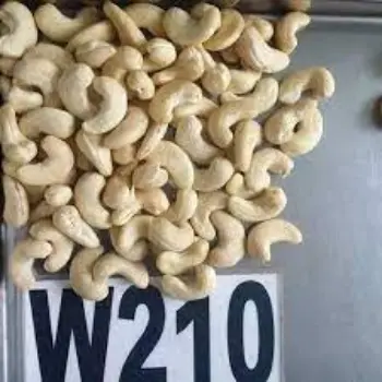 Natural W210 Cashew Nuts