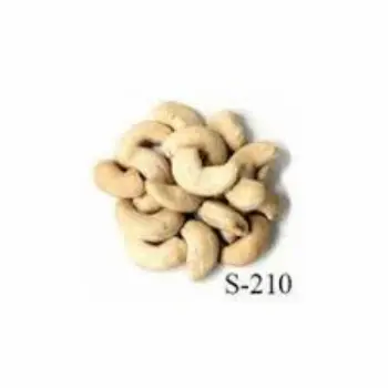 Common W210 Cashew Nuts