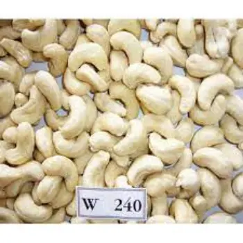 Common W240 Cashew Nuts