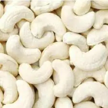 Common W240 Cashews Nuts