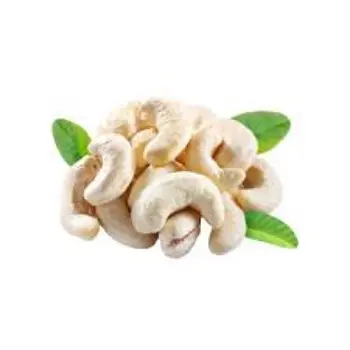 Common W240 Cashew Nuts