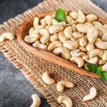 Natural W240 Cashew Nuts
