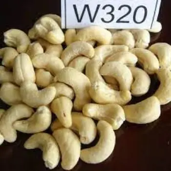 Natural W320  Cashew Nuts