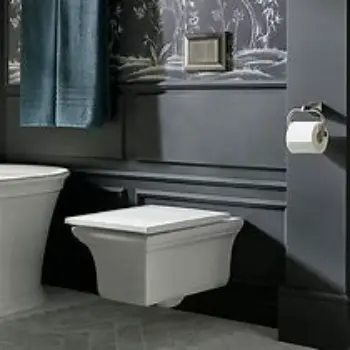 Polished Wall Hung Toilet