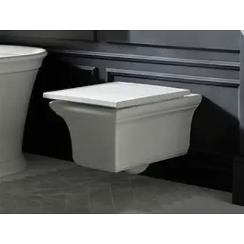 Durable Wall Hung Toilet