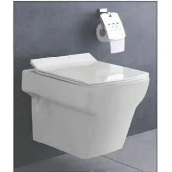 Solid Wall Hung Toilet