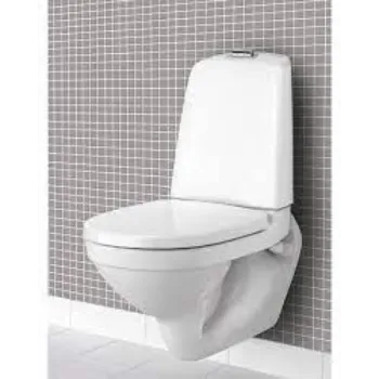 Solid Wall Hung Toilet
