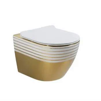 Solid Wall Hung Toilet