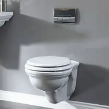 Polished Wall Hung Toilet