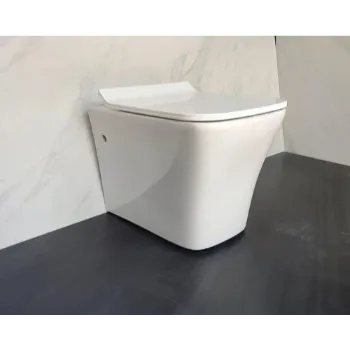 Polished Wall Hung Toilet
