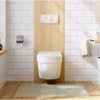 Solid Wall Hung Toilet