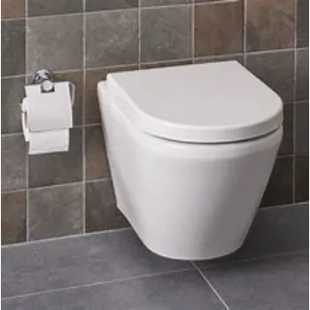 Solid Wall Hung Toilet