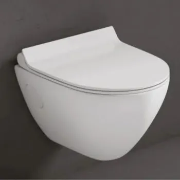 Solid Wall Hung Toilet