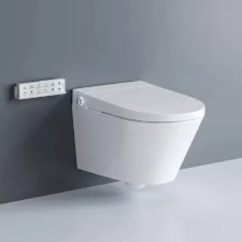 Plain Wall Hung Toilet