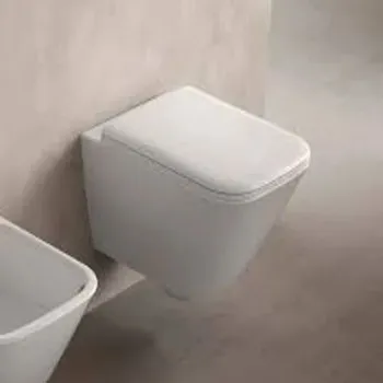 Durable Wall Hung Toilet