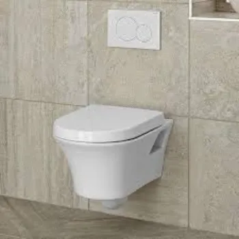 Coated Wall Hung Toilet
