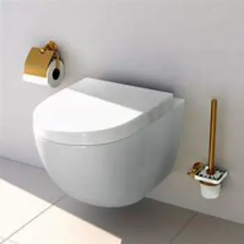 Solid Wall Hung Toilet
